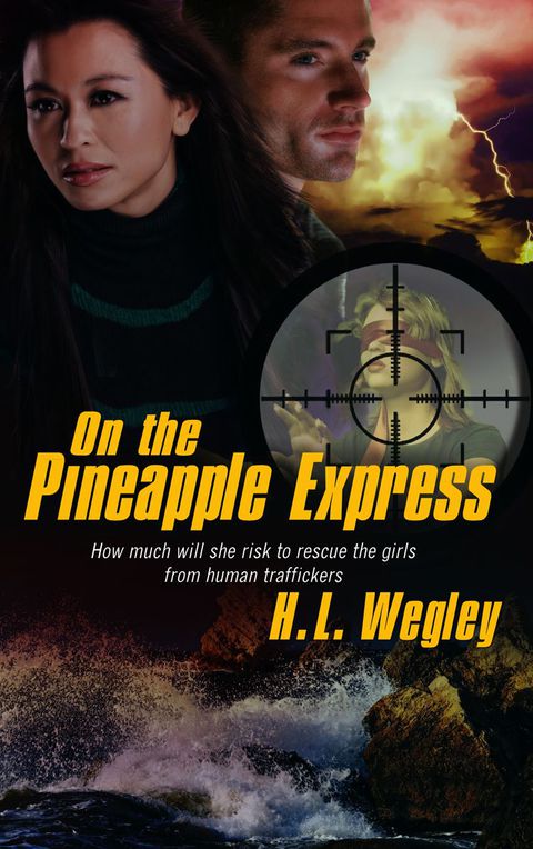Cover image for book On the Pineapple Express