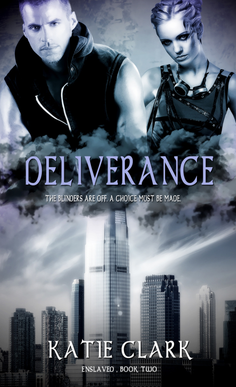 Cover image for book Deliverance