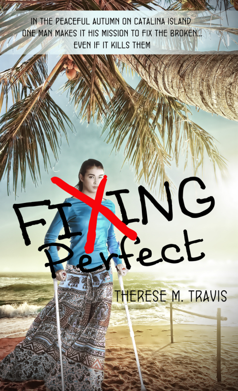 Cover image for book Fixing Perfect