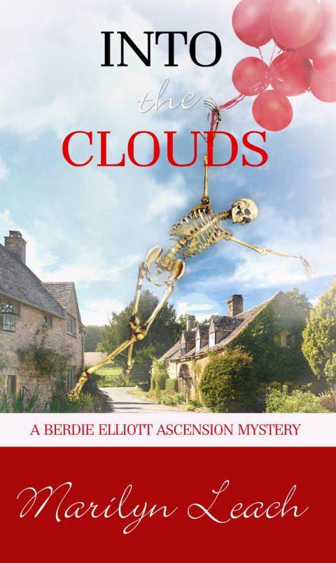 Cover image for book Into the Clouds