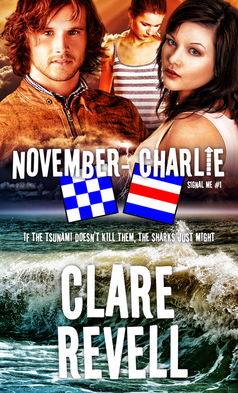 Cover image for book November-Charlie