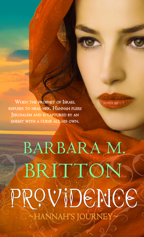 Cover image for book Providence