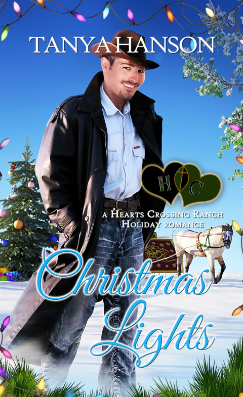 Cover image for book Christmas Lights