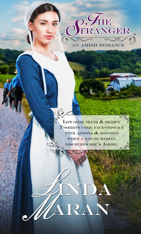 Cover image for book The Stranger