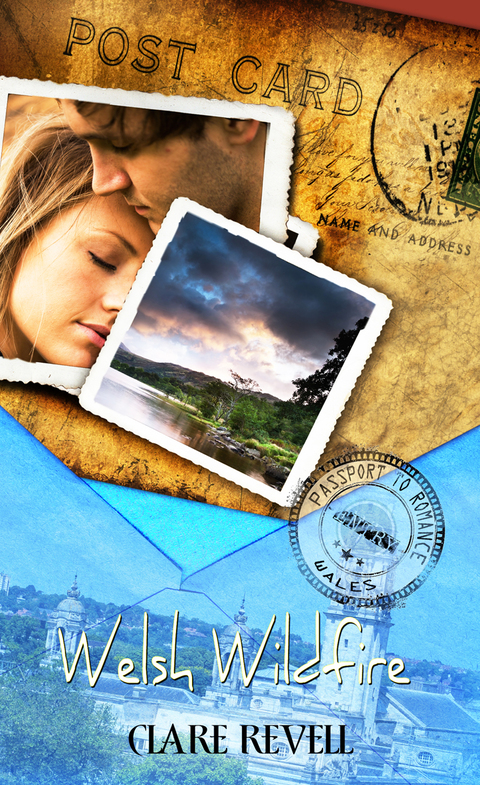 Cover image for book Welsh Wildfire