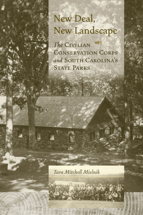 Cover image for book New Deal, New Landscape