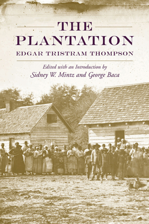 Plantation 