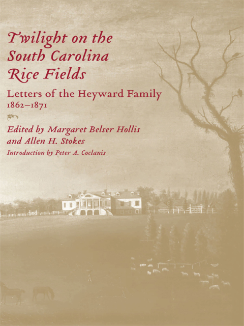 Cover image for book Twilight on the South Carolina Rice Fields