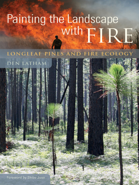 Cover image for book Painting the Landscape with Fire