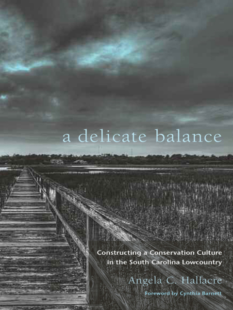 Cover image for book A Delicate Balance