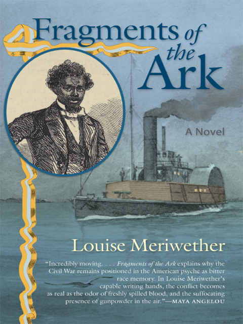 Cover image for book Fragments of the Ark