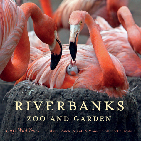 Cover image for book Riverbanks Zoo and Garden
