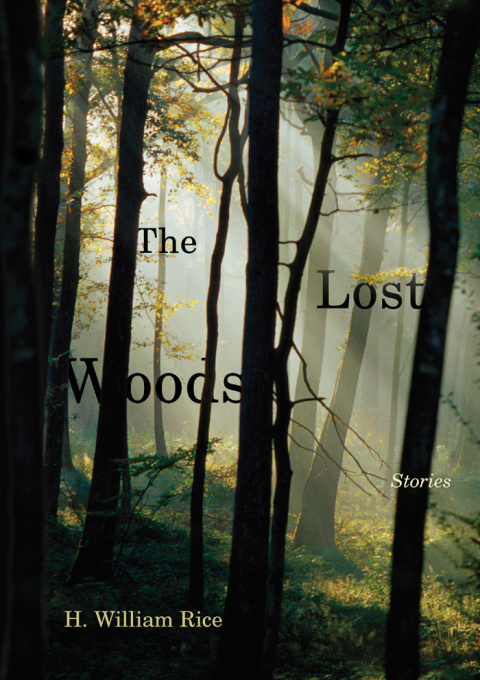 Cover image for book The Lost Woods