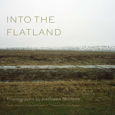 Cover image for book Into the Flatland