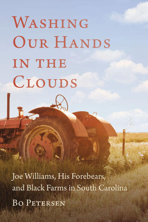 Cover image for book Washing Our Hands in the Clouds