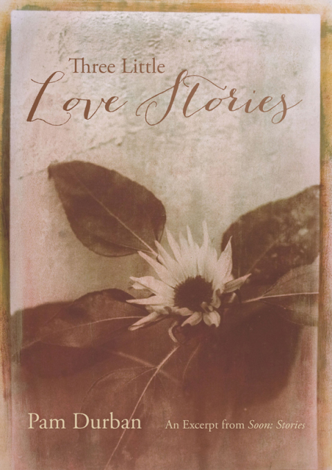 Cover image for book Three Little Love Stories