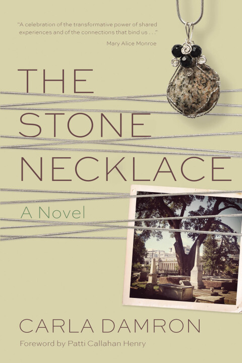 Cover image for book The Stone Necklace