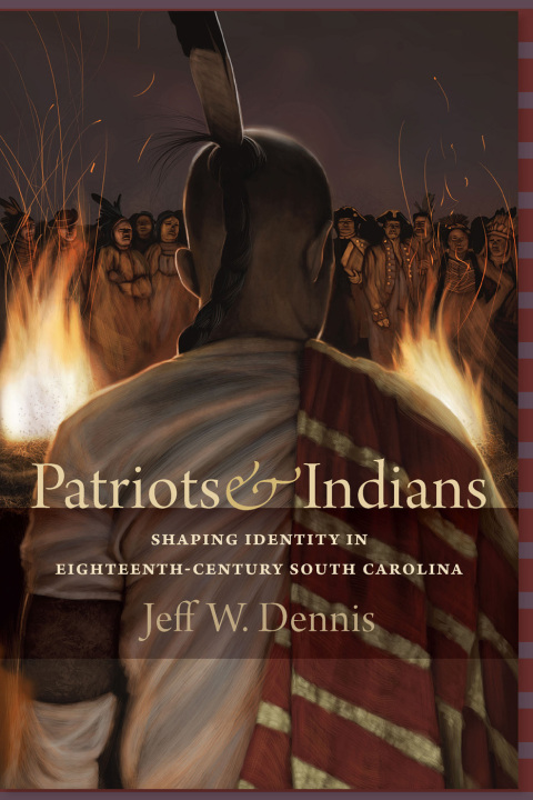 Cover image for book Patriots & Indians