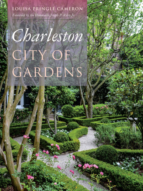 Cover image for book Charleston