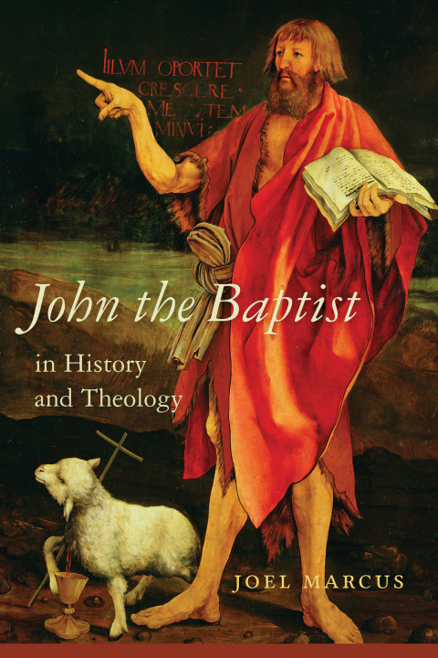 Cover image for book John the Baptist in History and Theology