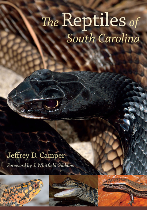 Cover image for book The Reptiles of South Carolina