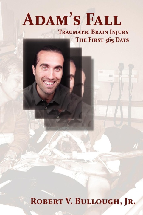 Cover image for book Adam's Fall