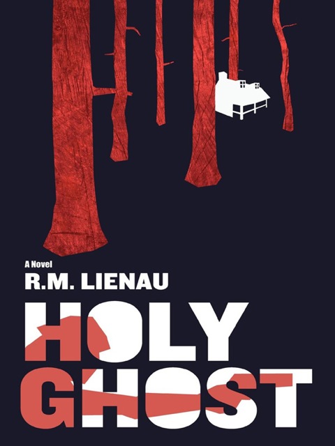 Cover image for book Holy Ghost