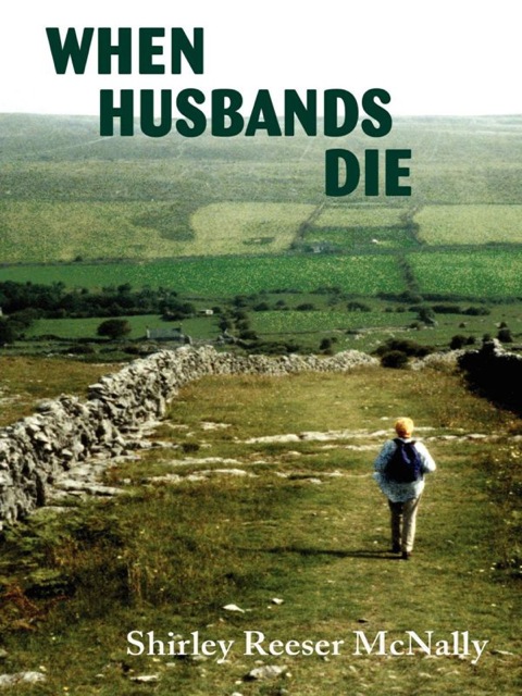 Cover image for book When Husbands Die