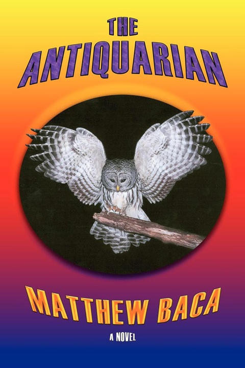 Cover image for book The Antiquarian