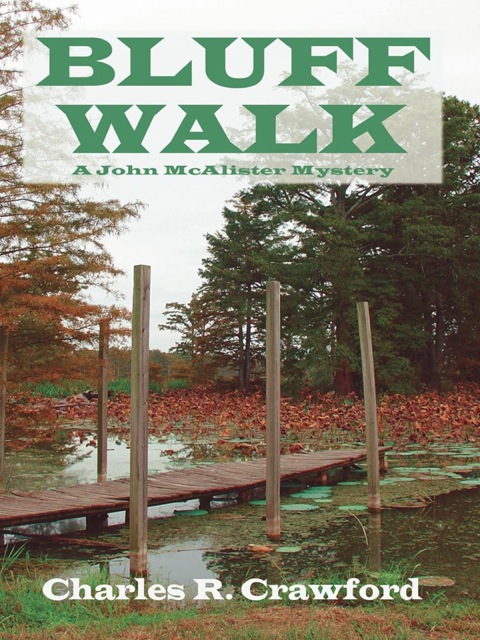 Cover image for book Bluff Walk