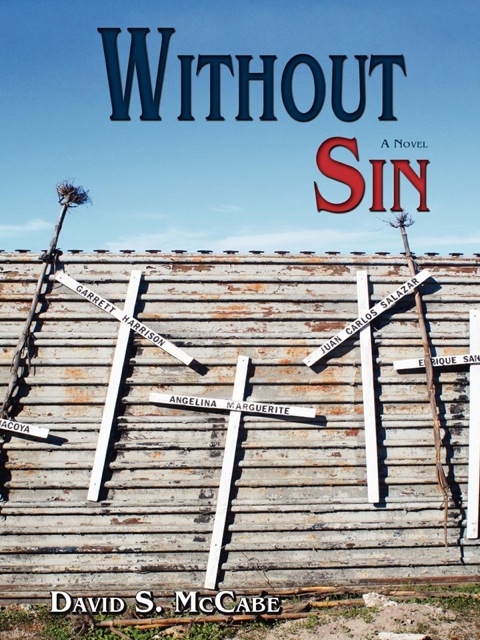 Cover image for book Without Sin