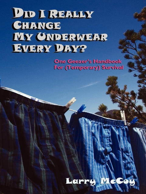 Cover image for book Did I Really Change My Underwear Every Day?