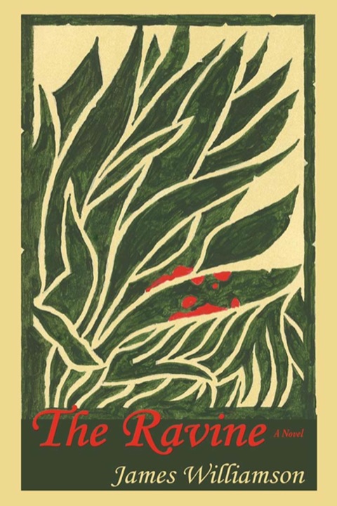 Cover image for book The Ravine