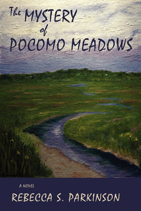 Cover image for book The Mystery of Pocomo Meadows: A Novel