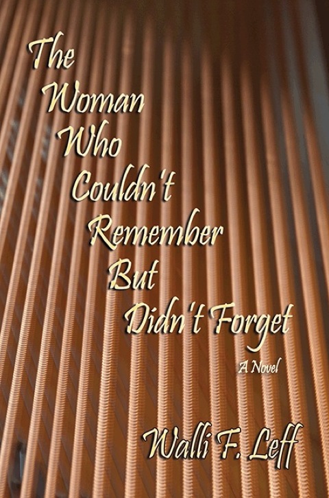 Cover image for book The Woman Who Couldn't Remember But Didn't Forget: A Novel