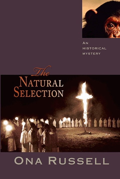 Cover image for book The Natural Selection