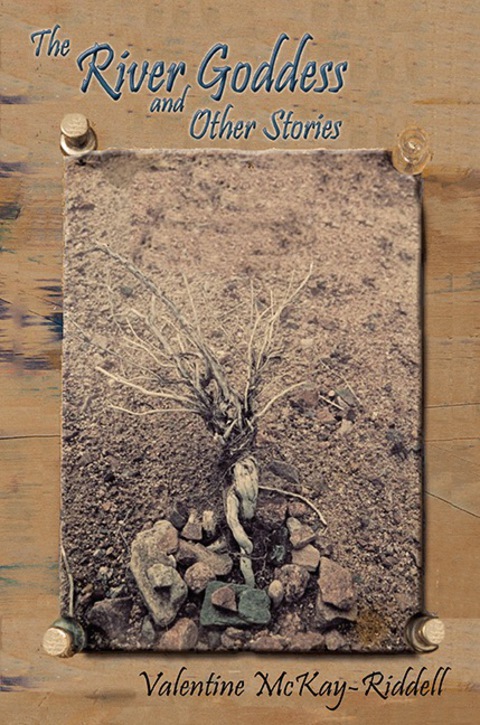 Cover image for book The River Goddess and Other Stories