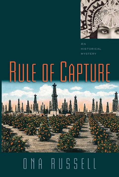 Cover image for book Rule of Capture