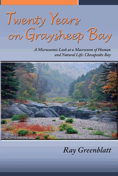 Cover image for book Twenty Years on Graysheep Bay