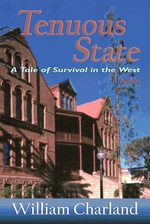 Cover image for book Tenuous State