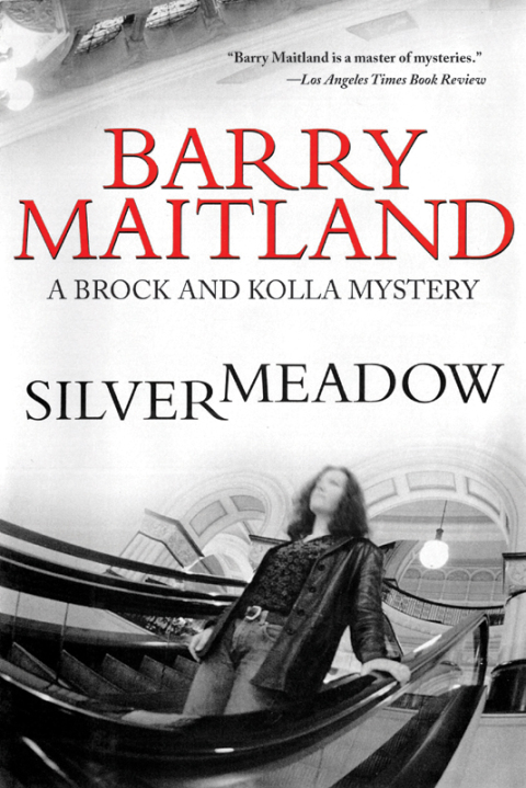 Cover image for book Silvermeadow