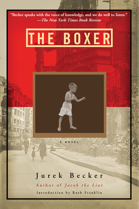 Cover image for book The Boxer
