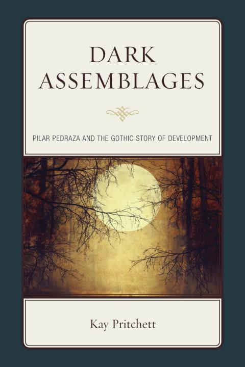 Cover image for book Dark Assemblages
