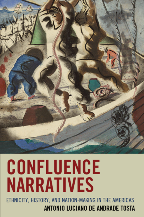 Cover image for book Confluence Narratives