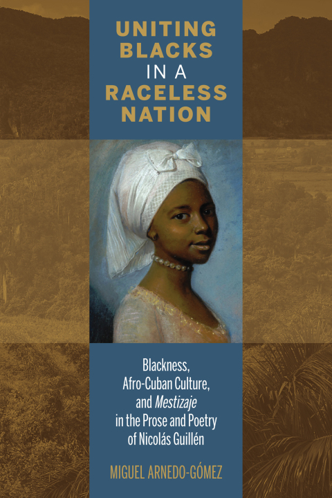 Cover image for book Uniting Blacks in a Raceless Nation