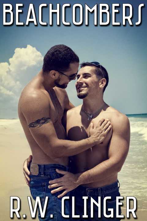 Cover image for book Beachcombers