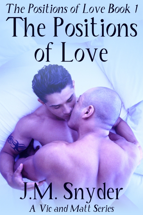 Cover image for book The Positions of Love