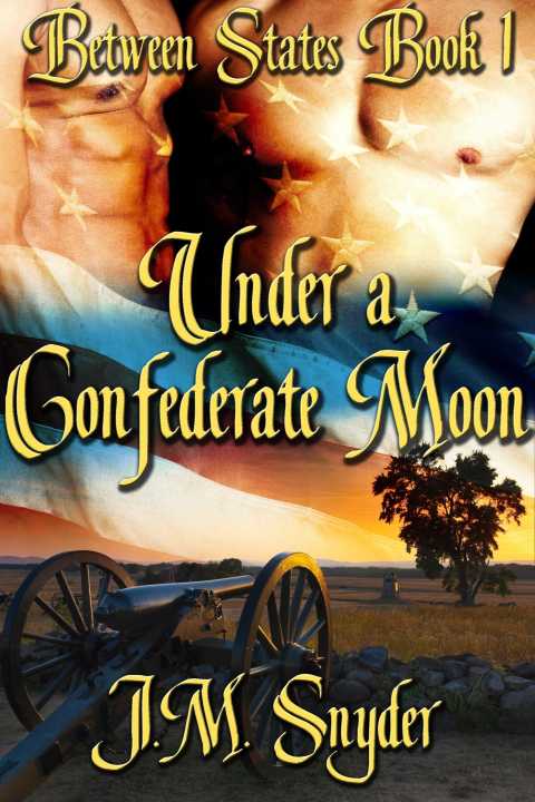 Cover image for book Under a Confederate Moon