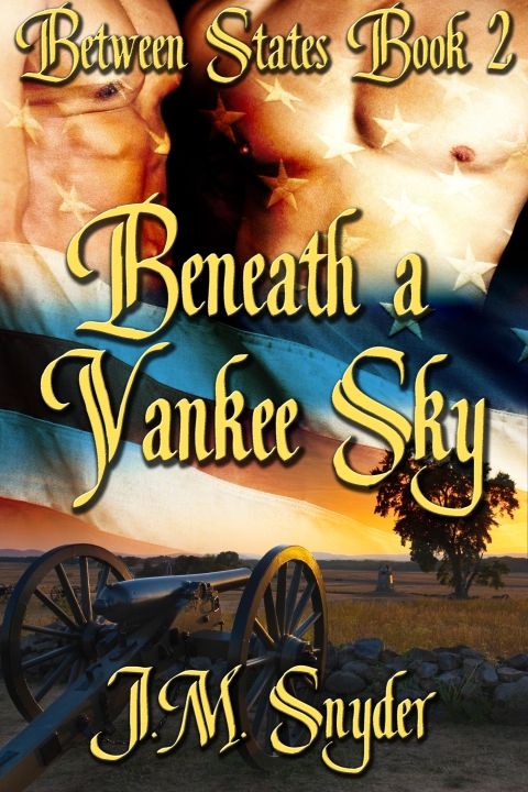 Cover image for book Beneath a Yankee Sky