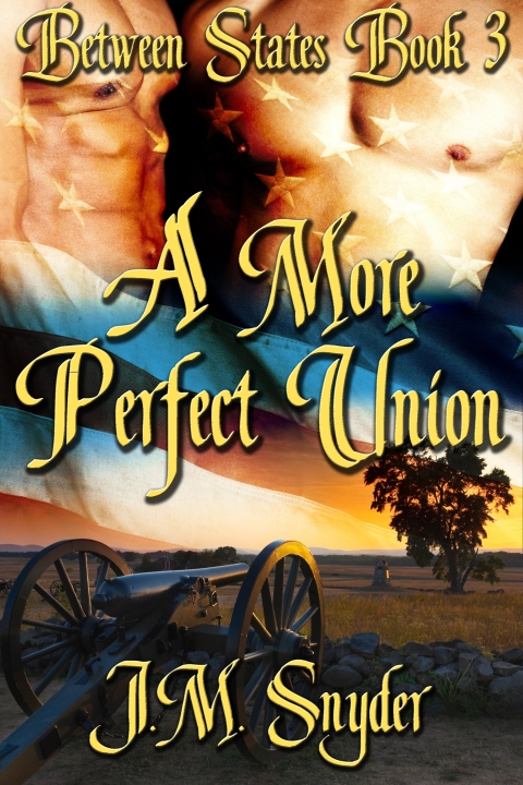 Cover image for book A More Perfect Union
